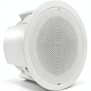Grandstream GSC3506 V2 Multicast Paging Speaker 30W HD Audio-0
